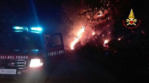 Incendio boschivo tra Giusvalla e Pontinvrea: a breve la bonifica Incendio boschivo tra Giusvalla e Pontinvrea: a breve la bonifica