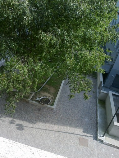 Valbormida Energia abatte un lampione che rischiarava un parcheggio disabili