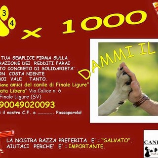 Il 5 x mille per aiutare il Canile di Finale Ligure