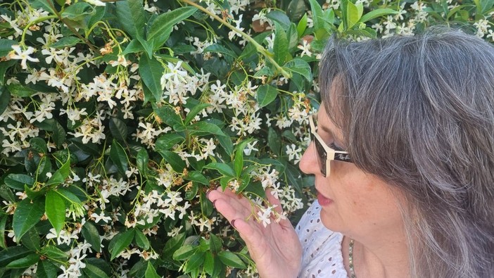 Profumo d’estate con la fragranza inebriante e seducente del gelsomino