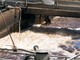 Italiana Coke: stazionarie le condizioni dell'elettricista ferito. Per l'azienda la colpa sarebbe di una ditta in subappalto Italiana Coke: stazionarie le condizioni dell'elettricista ferito. Per l'azienda la colpa sarebbe di una ditta in subappalto