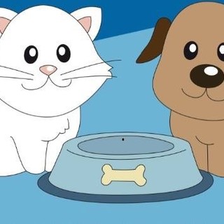 A Finale raccolta alimentare per le colonie feline