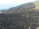 Gli incendi nel ponente genovese hanno provocato gravi danni nel Parco del Beigua