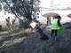 Grande successo a Savona per "Puliamo il Letimbro" (FOTO) Grande successo a Savona per "Puliamo il Letimbro" (FOTO)