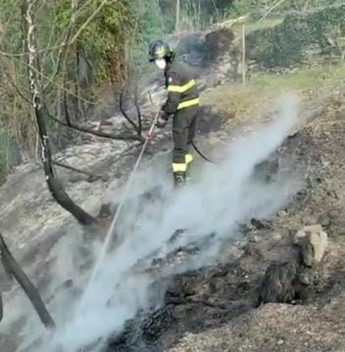 Magliolo, incendio sterpaglie in via Lanfranchi (FOTO)