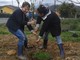 Villanova d'Albenga, "La frutta a scuola ? Si ma…direttamente sull’albero" Villanova d'Albenga, "La frutta a scuola ? Si ma…direttamente sull’albero"