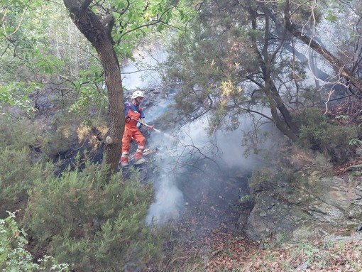 Incendio boschivo a Varazze: soccorsi mobilitati in frazione Alpicella (FOTO e VIDEO) Incendio boschivo a Varazze: soccorsi mobilitati in frazione Alpicella (FOTO e VIDEO)