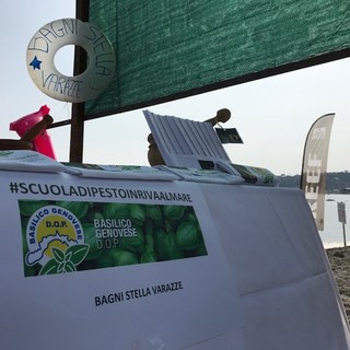 Spiagge Didattiche: #scuoladipestoinrivaalmare con basilico genovese DOP a  Varazze (FOTOgallery)