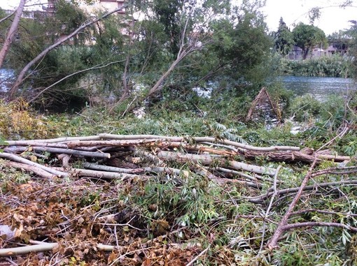 Arrivo delle precipitazioni autunnali, Confagricoltura: "E' il momento di prevenire pulendo gli alvei" Arrivo delle precipitazioni autunnali, Confagricoltura: "E' il momento di prevenire pulendo gli alvei"