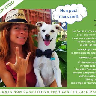 Alassio, "Sliding Dog": un video con Cecio per promuovere la città come meta turistica con il proprio cane