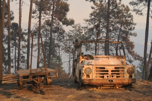 Vado Ligure: l'incendio (pare) sotto controllo. Si spera in una calma di vento