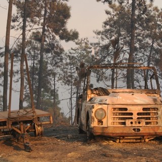 Vado Ligure: l'incendio (pare) sotto controllo. Si spera in una calma di vento