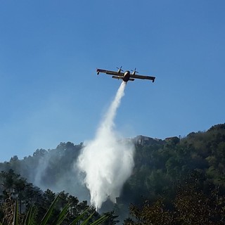 Una "caldarrostata" finita male alla base dell'incendio di Feglino Una "caldarrostata" finita male alla base dell'incendio di Feglino