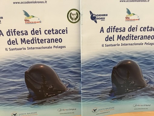 "A difesa dei cetacei del Mediterraneo", il nuovo libro di Accademia Kronos