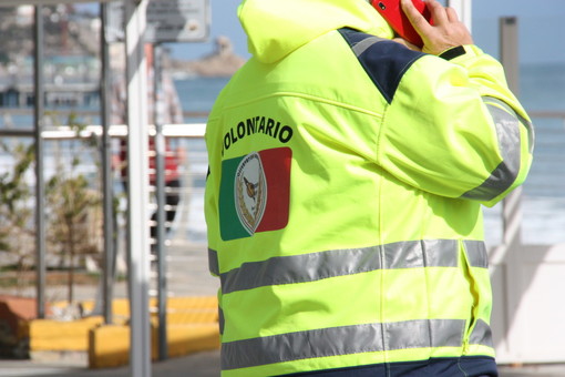 Circo a Savona, l'amministrazione comunale risponde al M5S: "Il regolamento comunale in materia parla chiaro, ad Asl le verifiche"