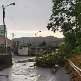 Il vento sconvolge la Val Bormida: decine di alberi crollati o pericolanti, diversi gli interventi dei Vigili del fuoco