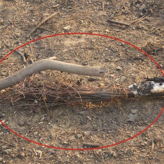 Muti i telefoni nelle zone del rogo: i pali Telecom erano di legno...