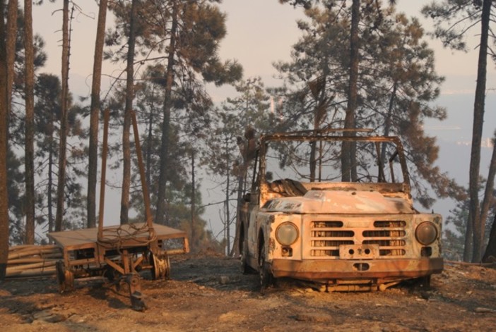 Vado Ligure: l'incendio (pare) sotto controllo. Si spera in una calma di vento