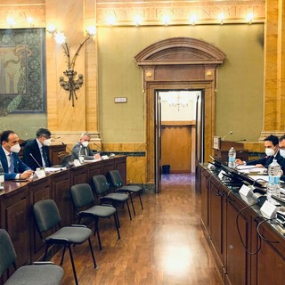 Peste suina, vertice tra i presidenti di Piemonte e Liguria e i ministri Patuanelli e Speranza (FOTO) Peste suina, vertice tra i presidenti di Piemonte e Liguria e i ministri Patuanelli e Speranza (FOTO)