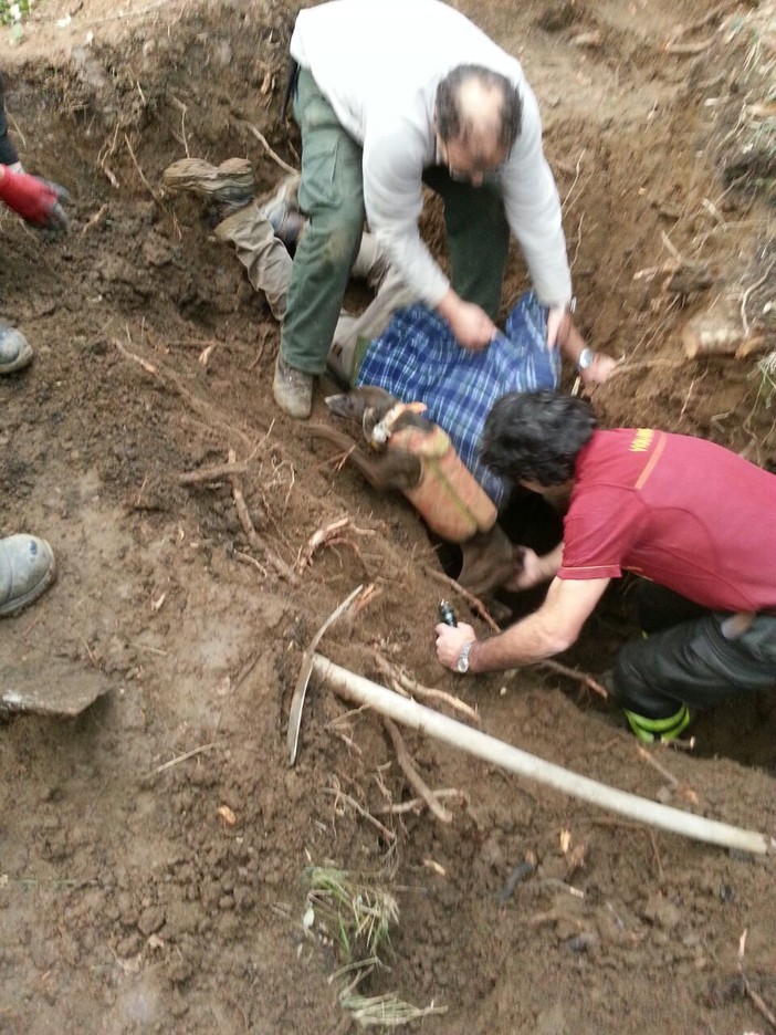 Stella, cane da caccia rimane bloccato in una cavità del terreno: intervento dei vigili del fuoco