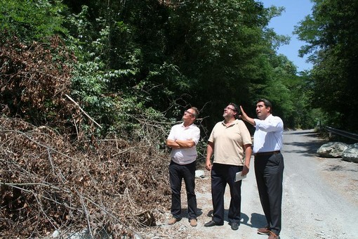 Immagine dell'intervento