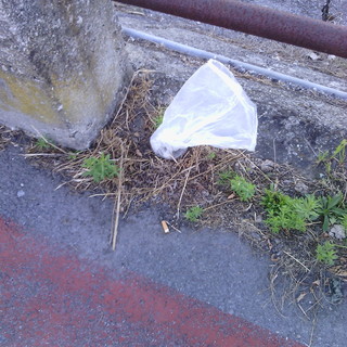 Cairo, sacchetti con deiezioni canine lasciati sulla pista ciclabile Cairo, sacchetti con deiezioni canine lasciati sulla pista ciclabile