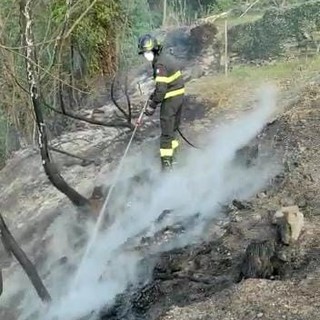 Magliolo, incendio sterpaglie in via Lanfranchi (FOTO)