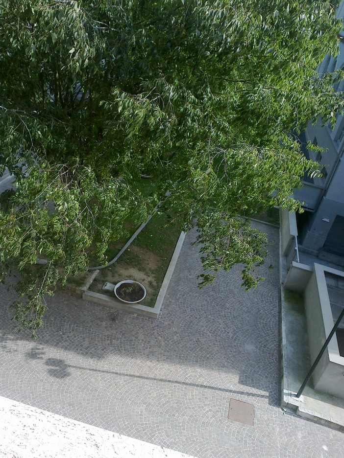 Valbormida Energia abatte un lampione che rischiarava un parcheggio disabili