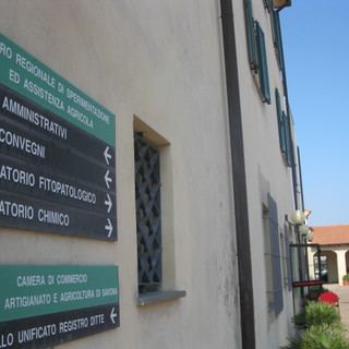 Riforma della Pubblica Amministrazione: la preoccupazione dei lavoratori della Camera di Commercio di Savona