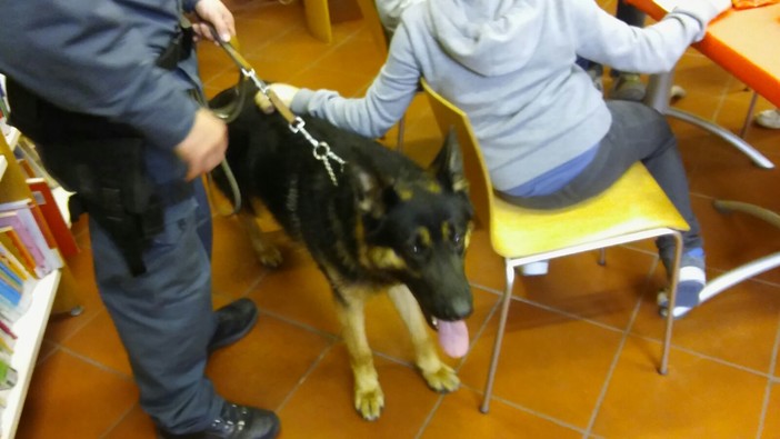 Albenga, i controlli della Guarda di Finanza con il cane Danko arrivano in biblioteca Albenga, i controlli della Guarda di Finanza con il cane Danko arrivano in biblioteca