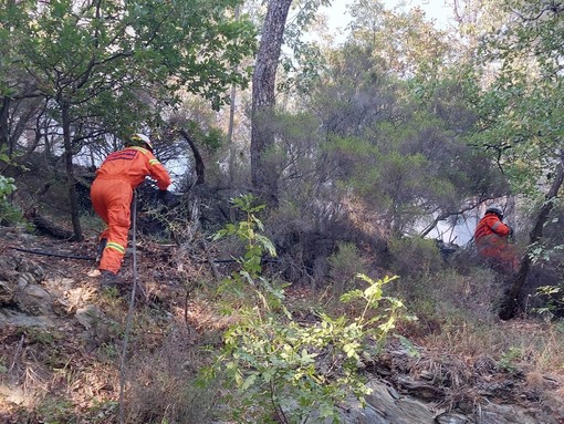Varazze: sotto controllo l'incendio boschivo divampato nella frazione di Alpicella, rientrati gli sfollati (FOTO e VIDEO) Varazze: sotto controllo l'incendio boschivo divampato nella frazione di Alpicella, rientrati gli sfollati (FOTO e VIDEO)