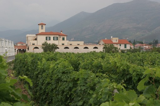 Albenga: un polo di eccellenza per garantire la qualità a tavola Albenga: un polo di eccellenza per garantire la qualità a tavola