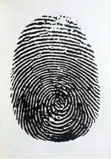 Albissola Marina, Riccardo Zelatore presenta: Piero Manzoni e il Filmgiornale Sedi