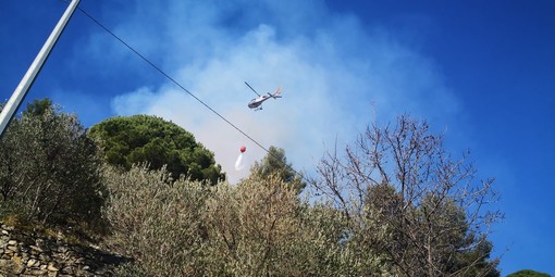 Alassio, spento l'incendio boschivo divampato nella zona di Moglio: bonifica in corso (FOTO) Alassio, spento l'incendio boschivo divampato nella zona di Moglio: bonifica in corso (FOTO)