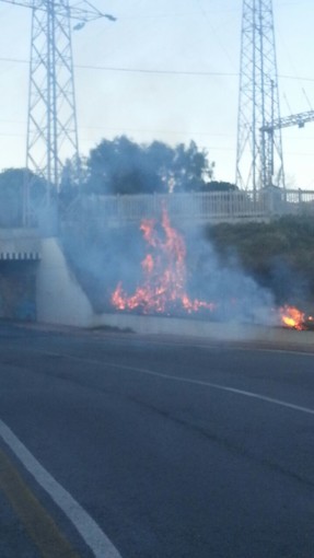 Albenga, incendio di sterpaglie sul lungofiume Centa