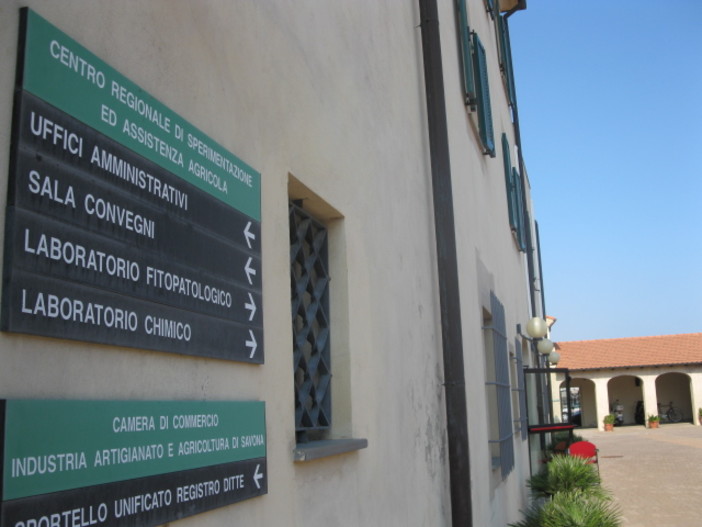 Riforma della Pubblica Amministrazione: la preoccupazione dei lavoratori della Camera di Commercio di Savona