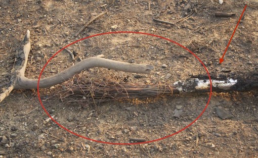 Muti i telefoni nelle zone del rogo: i pali Telecom erano di legno...