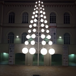 A Cairo Montenotte si accende l'albero di Natale