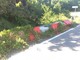 Giusvalla, ponte sprovvisto di protezione laterale sulla SP 542: la segnalazione arriva da un gruppo di cittadini (FOTO) Giusvalla, ponte sprovvisto di protezione laterale sulla SP 542: la segnalazione arriva da un gruppo di cittadini (FOTO)