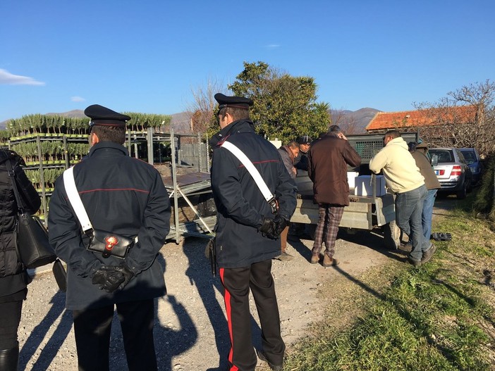 Ad Albenga i Carabinieri combattono il caporalato