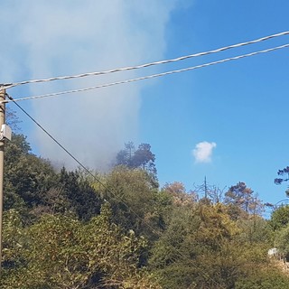 Photo Courtesy Claudio Arena