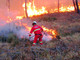 Regione Liguria: dichiarato lo stato di grave pericolosità per gli incendi boschivi