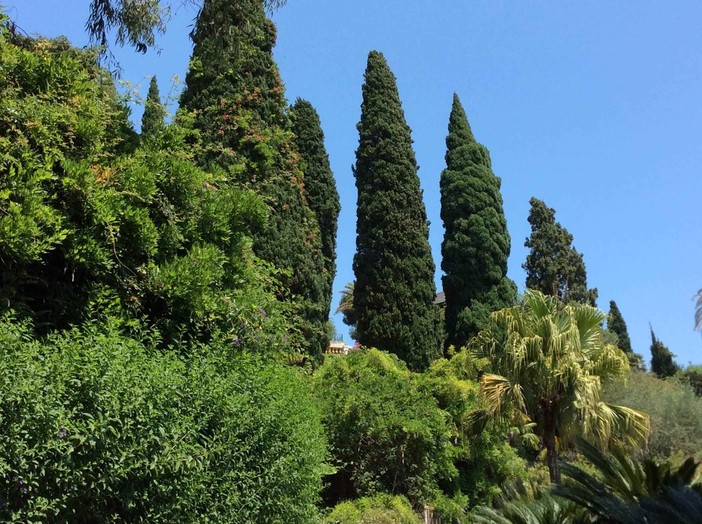 Villa Pergola ad Alassio: un'estate tra i colori e profumi della Riviera Villa Pergola ad Alassio: un'estate tra i colori e profumi della Riviera