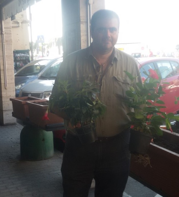 Albissola Marina, l’assessore Luigi Silvestro regala al Comune una trentina di piantine da fiore per abbellire le fioriere comunali Albissola Marina, l’assessore Luigi Silvestro regala al Comune una trentina di piantine da fiore per abbellire le fioriere comunali