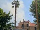 Mansarda in fiamme in centro a Loano, intervento dei Vigili del fuoco Mansarda in fiamme in centro a Loano, intervento dei Vigili del fuoco