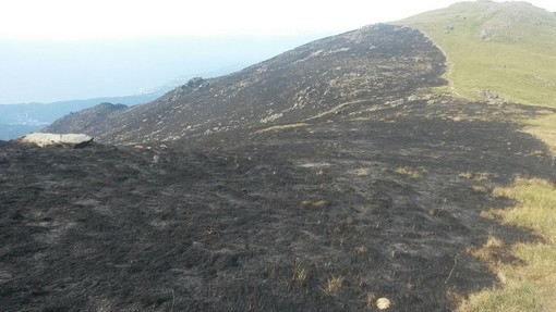 Prevenzione incendi boschivi, il Parco del Beigua riceve un finanziamento da 550 mila euro Prevenzione incendi boschivi, il Parco del Beigua riceve un finanziamento da 550 mila euro
