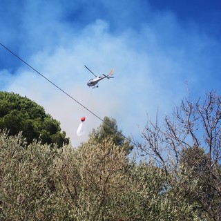 Alassio, spento l'incendio boschivo divampato nella zona di Moglio: bonifica in corso (FOTO) Alassio, spento l'incendio boschivo divampato nella zona di Moglio: bonifica in corso (FOTO)