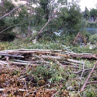 Arrivo delle precipitazioni autunnali, Confagricoltura: "E' il momento di prevenire pulendo gli alvei"