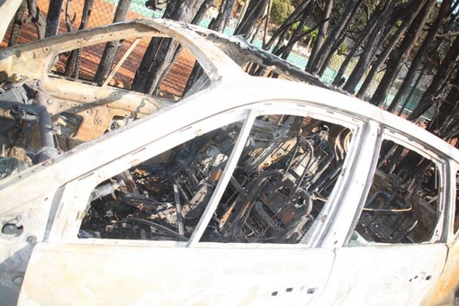 immagine di repertorio