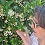 Profumo d’estate con la fragranza inebriante e seducente del gelsomino